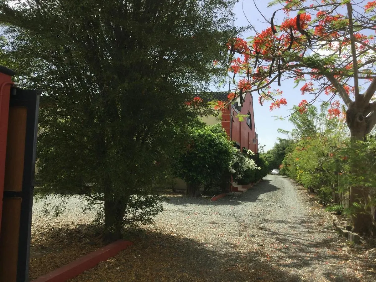Apartment Lone Star Condos Crown Point Trinidad And Tobago